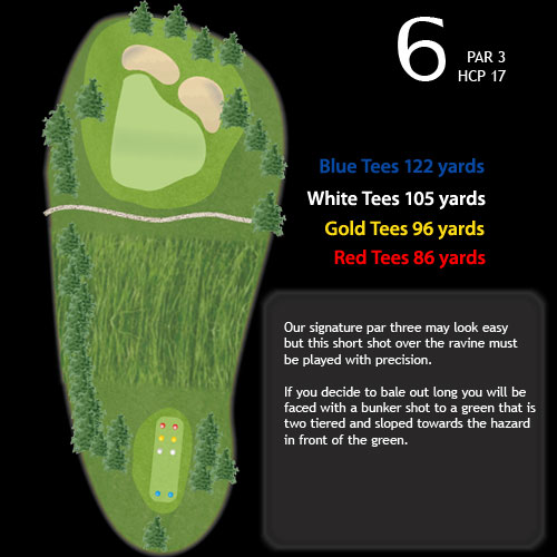 hole06