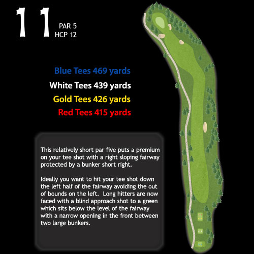 hole11