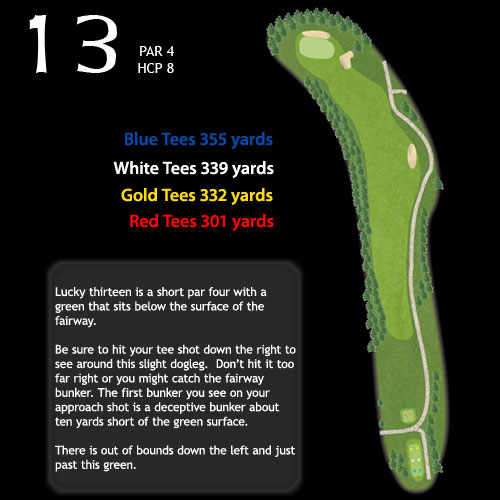 hole13
