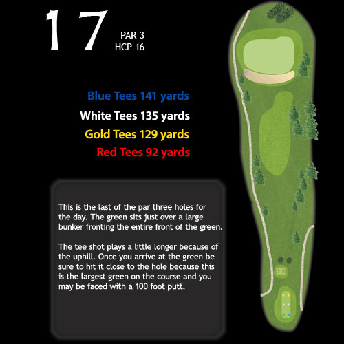 hole17